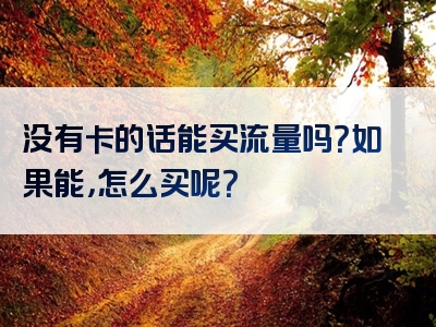 没有卡的话能买流量吗？如果能，怎么买呢？