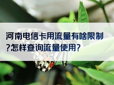 河南电信卡用流量有啥限制？怎样查询流量使用？