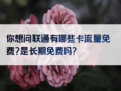 你想问联通有哪些卡流量免费？是长期免费吗？