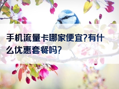 手机流量卡哪家便宜？有什么优惠套餐吗？