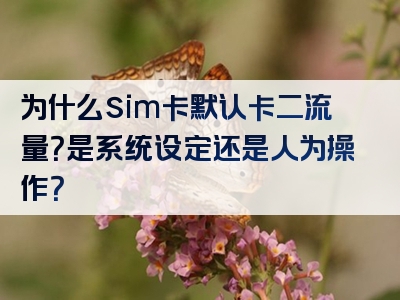 为什么sim卡默认卡二流量？是系统设定还是人为操作？