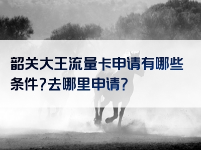 韶关大王流量卡申请有哪些条件？去哪里申请？