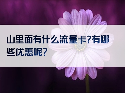 山里面有什么流量卡？有哪些优惠呢？