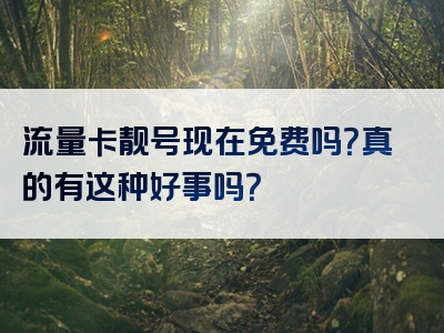 流量卡靓号现在免费吗？真的有这种好事吗？