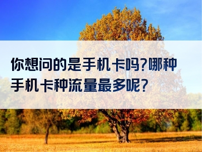 你想问的是手机卡吗？哪种手机卡种流量最多呢？