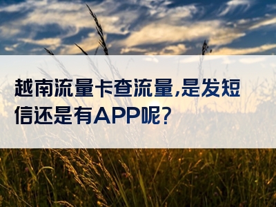 越南流量卡查流量，是发短信还是有APP呢？
