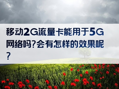 移动2G流量卡能用于5G网络吗？会有怎样的效果呢？