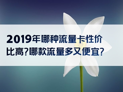 2019年哪种流量卡性价比高？哪款流量多又便宜？
