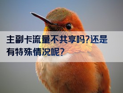 主副卡流量不共享吗？还是有特殊情况呢？