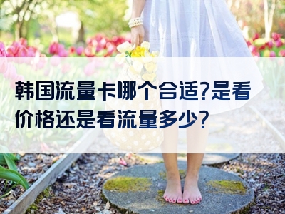 韩国流量卡哪个合适？是看价格还是看流量多少？