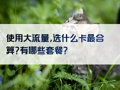 使用大流量，选什么卡最合算？有哪些套餐？