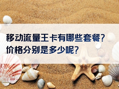 移动流量王卡有哪些套餐？价格分别是多少呢？